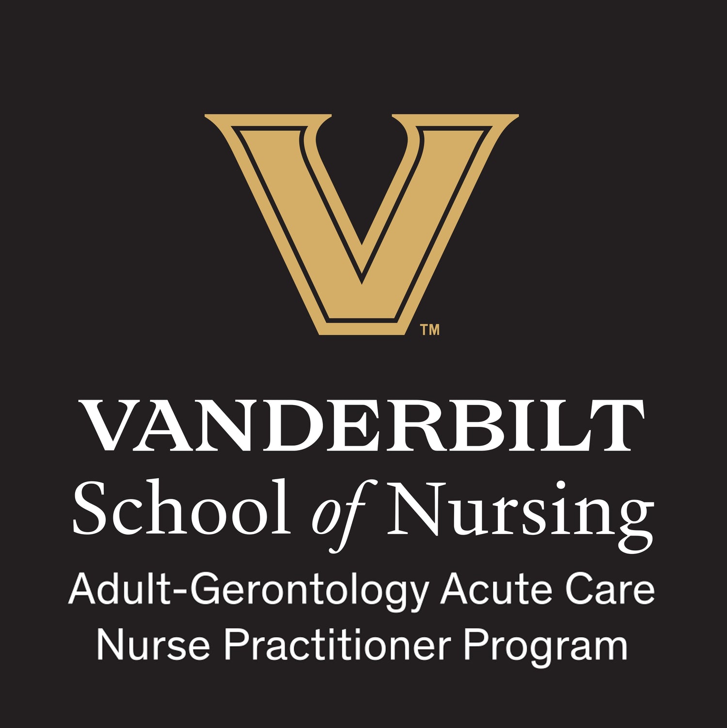Adult-Gerontology Acute Care Nurse Practitioner Program